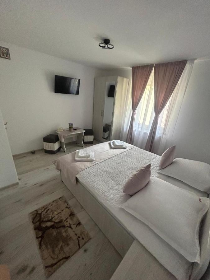 Casa Dani&Moni Hotel Моечу де Жос Екстериор снимка