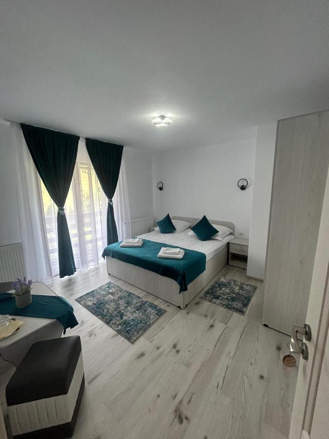 Casa Dani&Moni Hotel Моечу де Жос Екстериор снимка